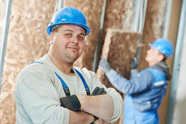 Best Insulation Installation Services in North Valley Stream, NY
